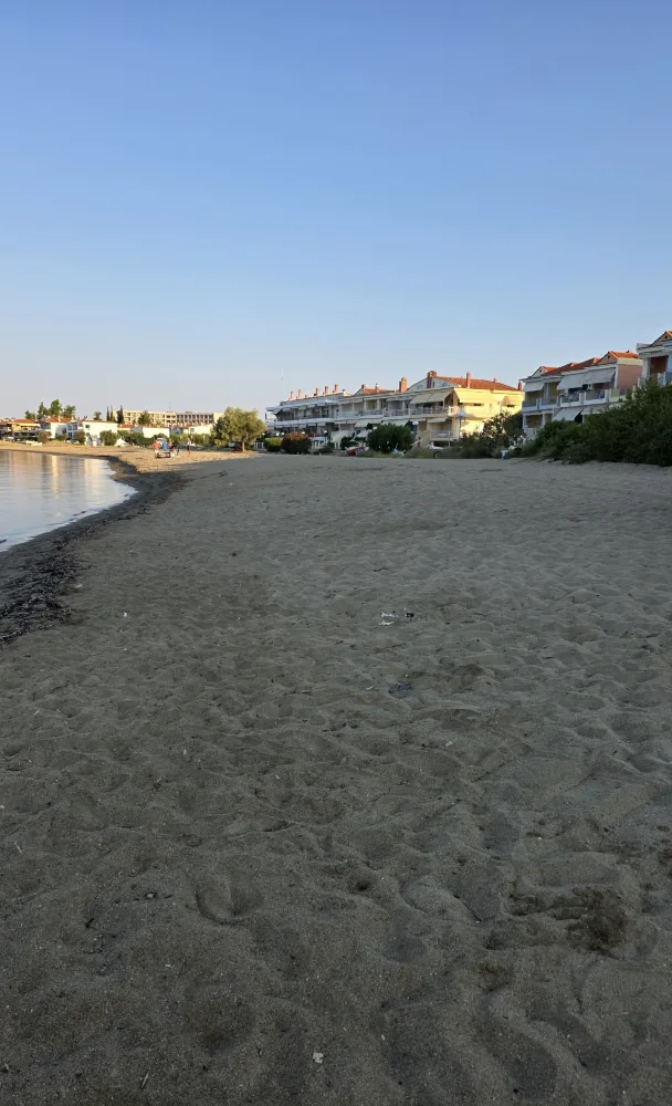 Εσωτερική εικόνα άρθρου