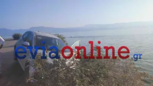 Τροχαίο στη Εύβοια: 22χρονος έπεσε από γκρεμό 15 μέτρων – Στο νοσοκομείο με τραύματα στο κεφάλι