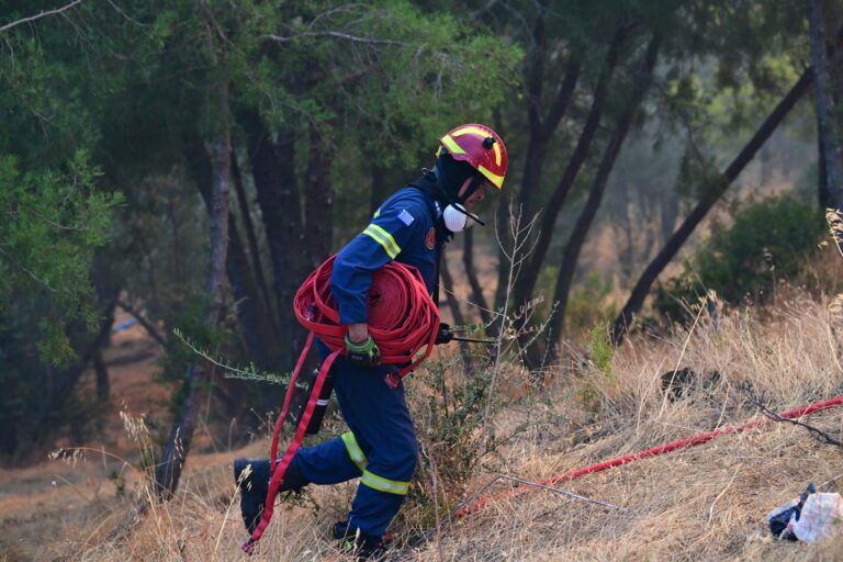 Φωτιά τώρα στο Πλατή Μεσσηνίας – Ισχυρές δυνάμεις στο σημείο