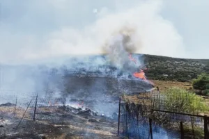 Φωτιά στην Αττικοβοιωτία: Το «μαύρο κουτί» της πυρκαγιάς