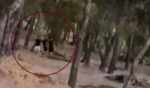 Αντιδράσεις προκαλεί challenge μεταξύ ανηλίκων – Βάζουν φωτιά και στη συνέχεια προσπαθούν να τη σβήσουν σε δάσος στην Πεντέλη
