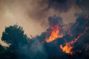 Τέσσερις συλλήψεις για πρόκληση πυρκαγιών σε Πάρο, Τρίκαλα, Χαλκιδική και Ρόδο