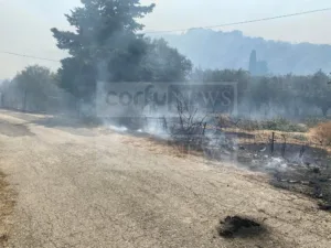 Κάρυστος: Πρόστιμο 3.093,75 ευρώ για πυρκαγιά που προκλήθηκε από αμέλεια