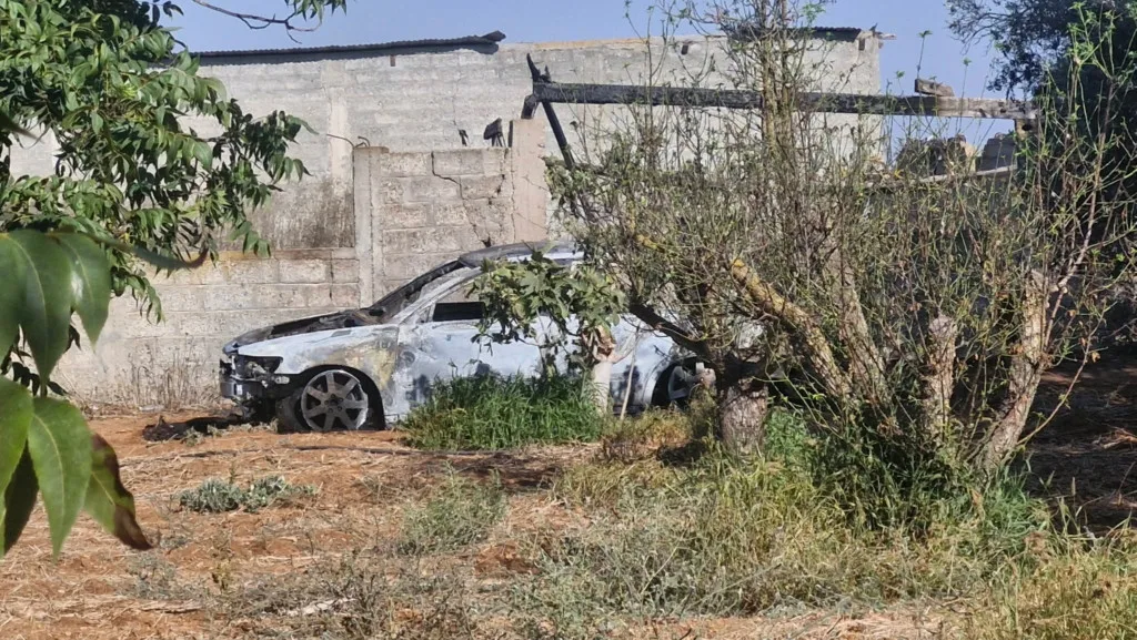 Εσωτερική εικόνα άρθρου