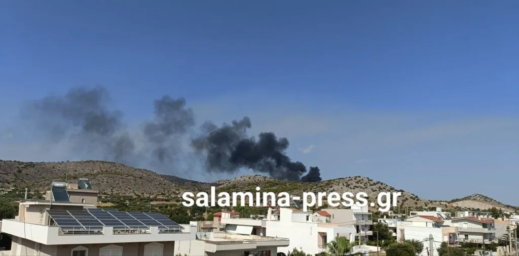 Εσωτερική εικόνα άρθρου