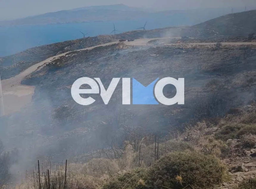 Εσωτερική εικόνα άρθρου