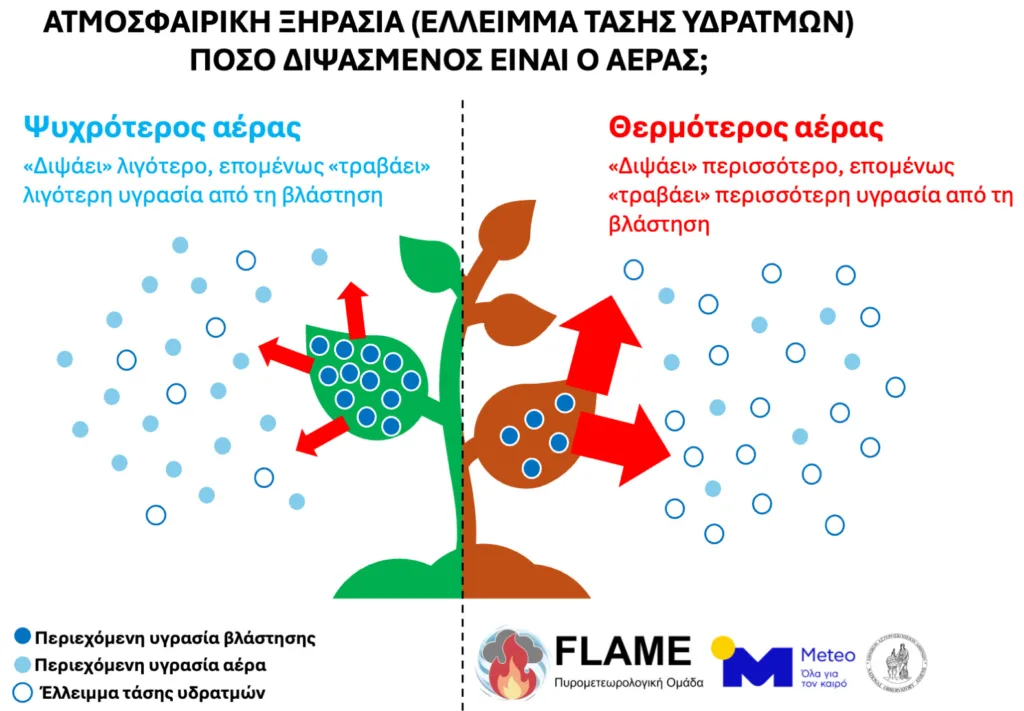 Εσωτερική εικόνα άρθρου