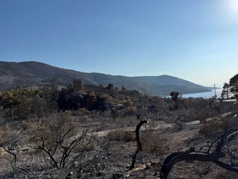 Η καμένη γη «ανεβάζει» τη θερμοκρασία έως και 14°C – Τι δείχνουν τα δορυφορικά δεδομένα από το Πόρτο Γερμενό