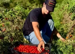 Άγγελος Λάτσιος: Μαζεύει φρέσκιες ντομάτες στον καταπράσινο κήπο τους στα Άχλα