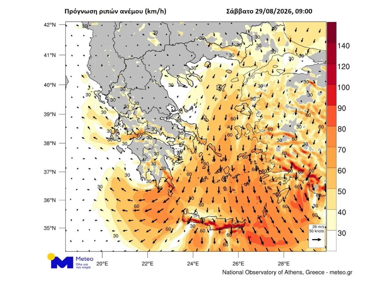 Εσωτερική εικόνα άρθρου
