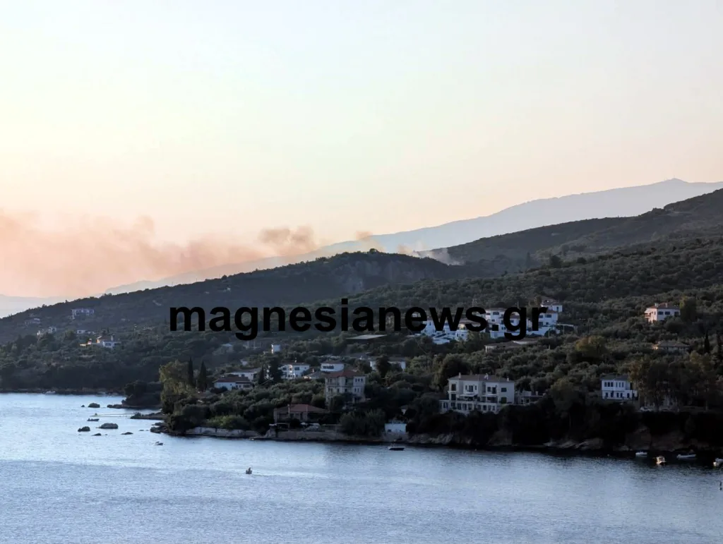 Υπό έλεγχο η φωτιά στην παραλία Πάου Νοτίου Πηλίου