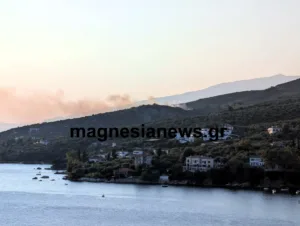 Υπό έλεγχο η φωτιά στην παραλία Πάου Νοτίου Πηλίου