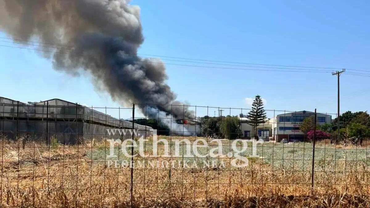 Εσωτερική εικόνα άρθρου