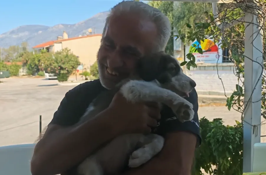 Ο Μπρούνο βγήκε ζωντανός από τις φλόγες – Η ιστορία ελπίδας μέσα στην καταστροφή του Πόρτο Γερμενού