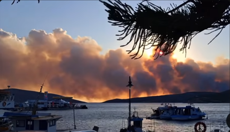 Φωτιά στη Σκύρο: Συνεχίζεται η μάχη με τις φλόγες – Δεν κινδυνεύουν κατοικίες, ισχυροί άνεμοι στο νησί
