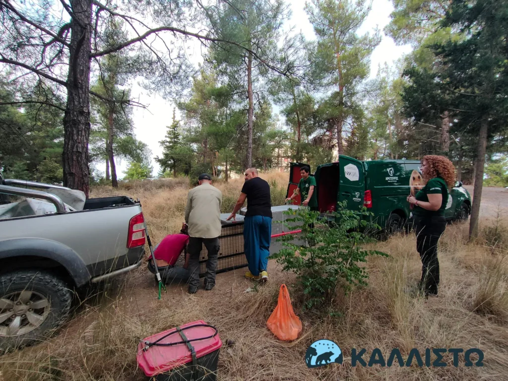 Εσωτερική εικόνα άρθρου