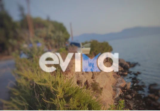 Εσωτερική εικόνα άρθρου