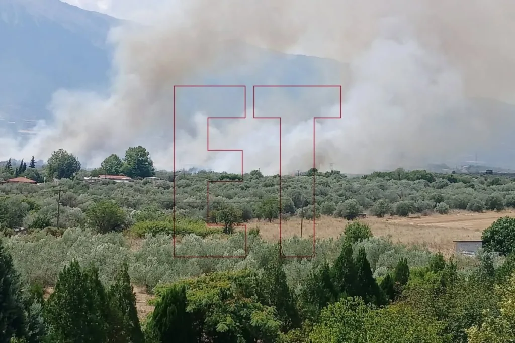 Εσωτερική εικόνα άρθρου