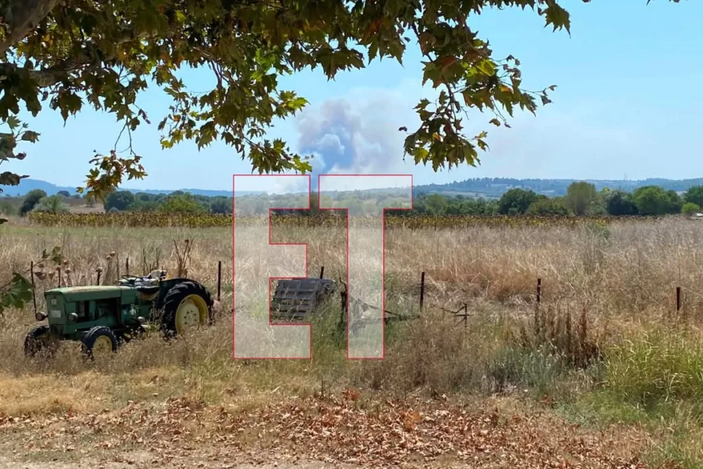 Φωτιά τώρα στην Χαλκιδική: Ενισχύθηκαν οι πυροσβεστικές δυνάμεις – Μπαράζ μηνυμάτων από το 112