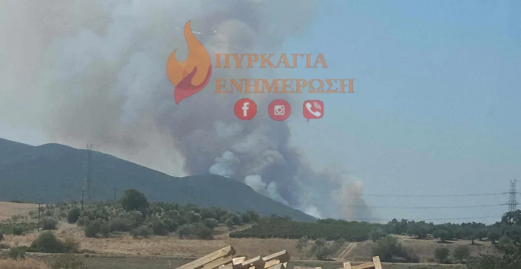 Εσωτερική εικόνα άρθρου
