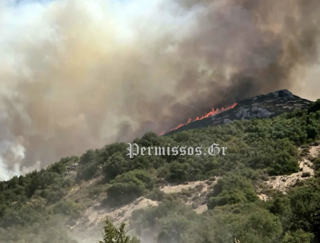 Φωτιά τώρα στον Μύτικα Θήβας – Eπιχειρούν 8 εναέρια μέσα