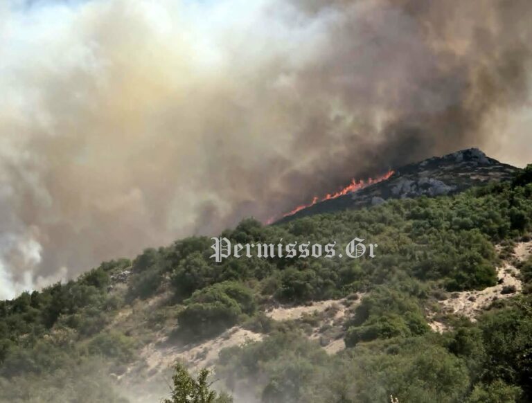 Φωτιά τώρα στον Μύτικα Θήβας – Eπιχειρούν 8 εναέρια μέσα