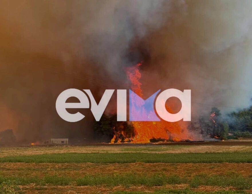 Εσωτερική εικόνα άρθρου