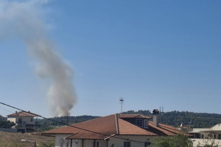 Φωτιά τώρα στη Χαλκιδική: Ήχησε το 112 – Επιχειρούν 7 εναέρια μέσα