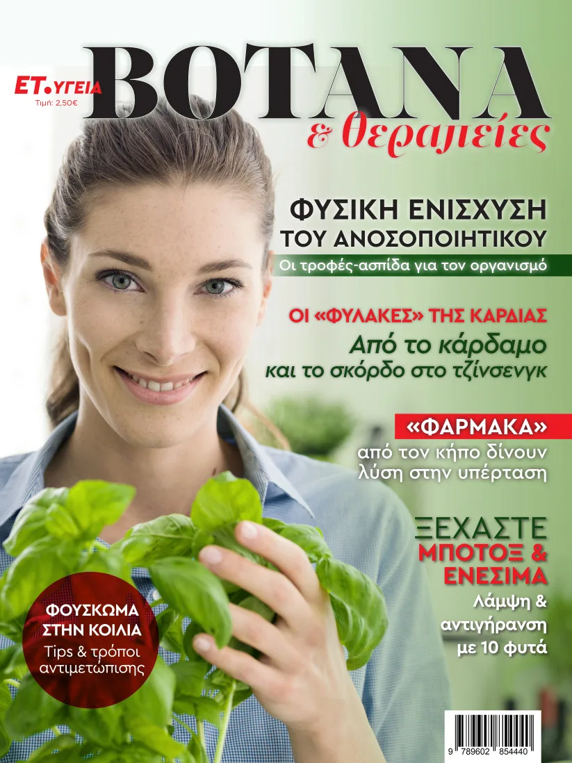 Εσωτερική εικόνα άρθρου