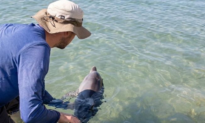 Κέρκυρα: Μάχη για τη διάσωση δελφινιού που βρέθηκε στα ρηχά – Δεν κατάφερε να επιβιώσει