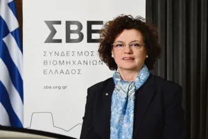 Λουκία Σαράντη: Τα κρίσιμα ζητήματα για τη βιομηχανία