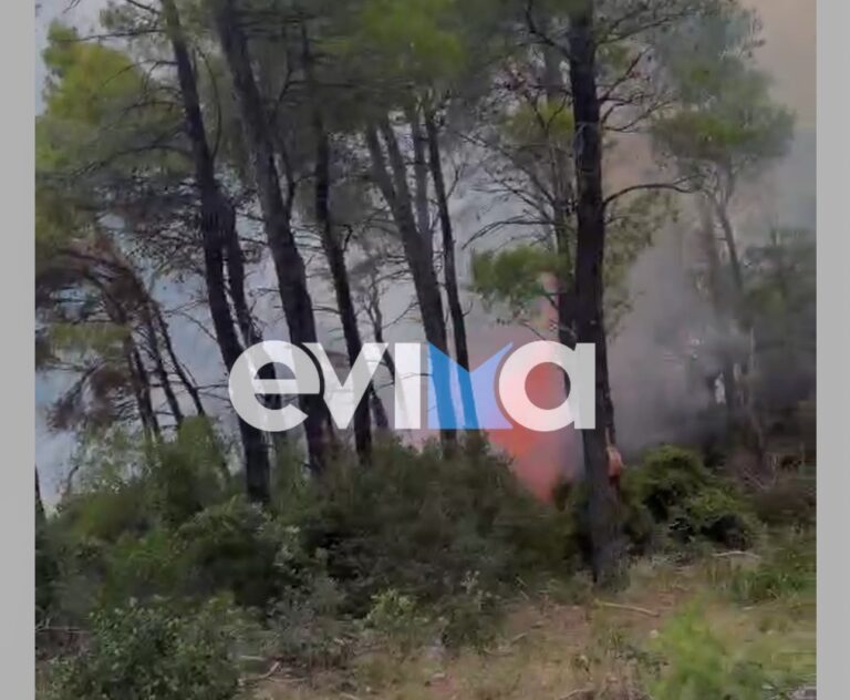 Εύβοια: Δύο φωτιές τώρα σε δασική έκταση