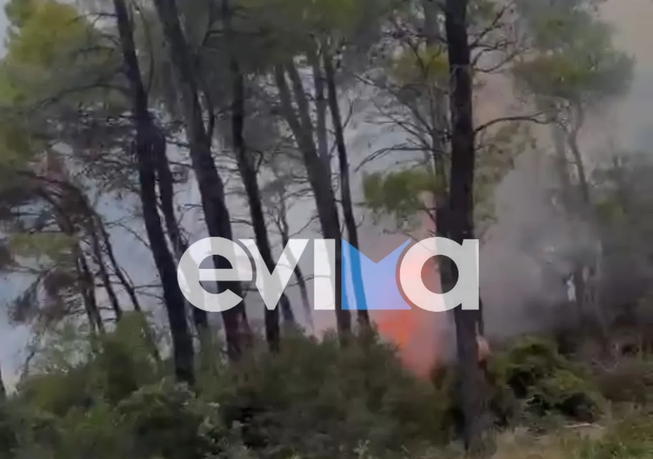 Εσωτερική εικόνα άρθρου