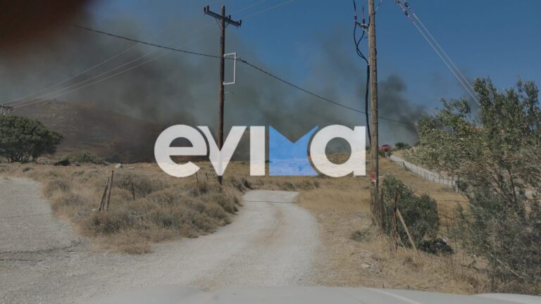 Φωτιά στην Εύβοια δίπλα σε σπίτια: Μπαράζ μηνυμάτων, εκκενώνεται περιοχή