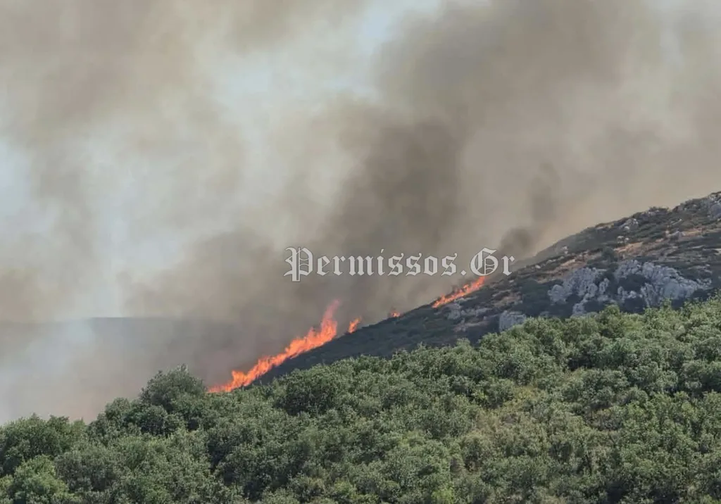 Ενισχύθηκαν οι δυνάμεις στη φωτιά στη Θήβα – Στα 4 χλμ. το πύρινο μέτωπο κοντά σε διάσπαρτες κ