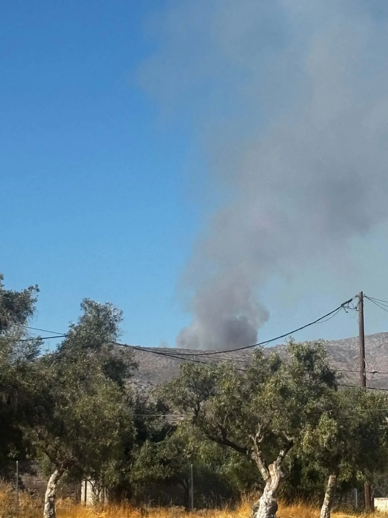 Εσωτερική εικόνα άρθρου