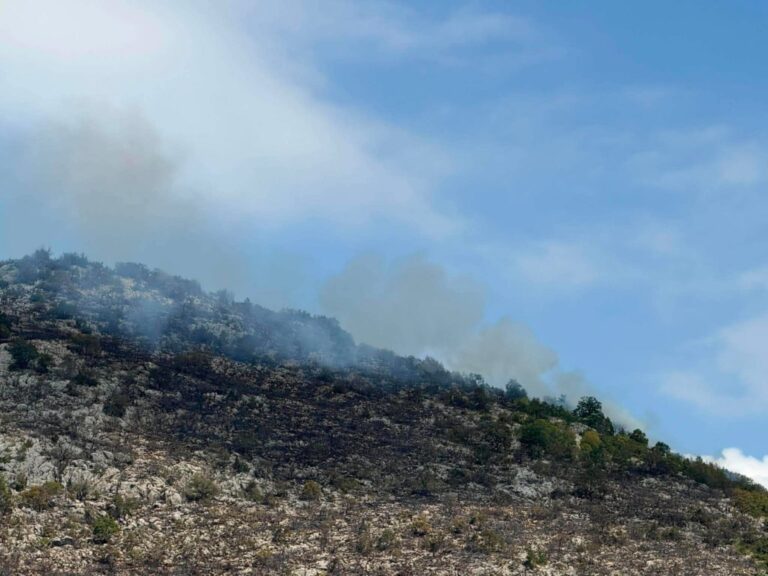 Φωτιά τώρα στη Φλώρινα: Βελτιωμένη η εικόνα στην Κρυσταλλοπηγή
