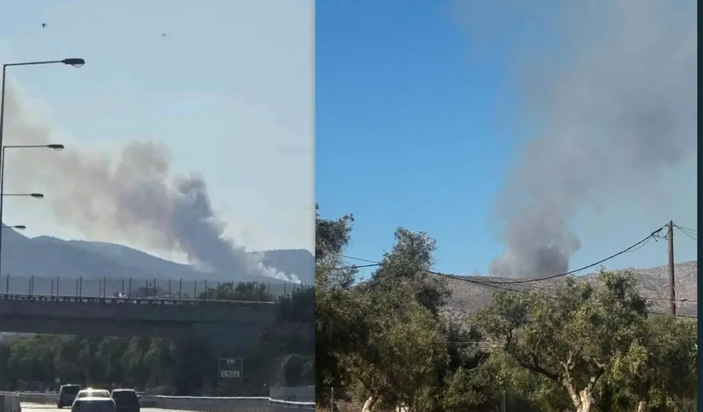 Μεγάλη φωτιά στα Μέγαρα: Ισχυρές δυνάμεις στο σημείο – Δείτε βίντεο