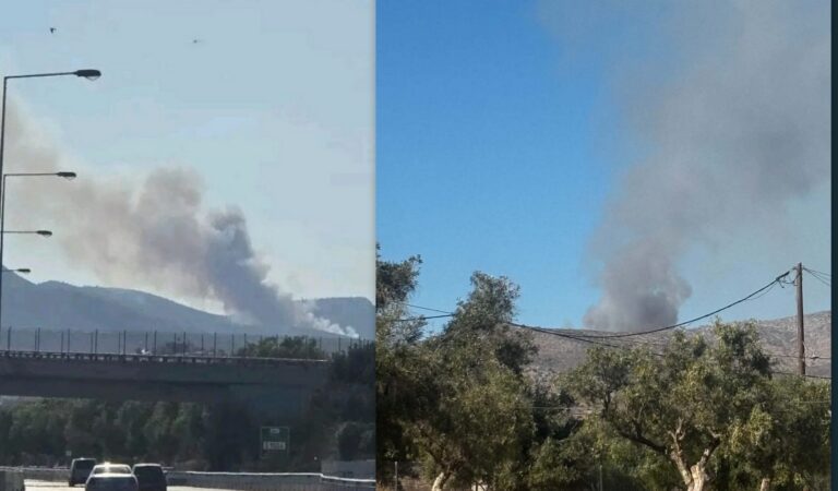 Μεγάλη φωτιά στα Μέγαρα: Ισχυρές δυνάμεις στο σημείο – Δείτε βίντεο