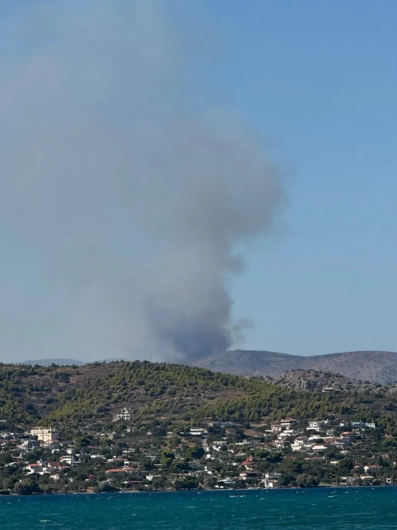 Εσωτερική εικόνα άρθρου