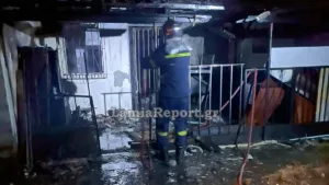 Φθιώτιδα: Νεκρή 32χρονη και το σκυλάκι της μετά από πυρκαγιά σε σπίτι τα ξημερώματα