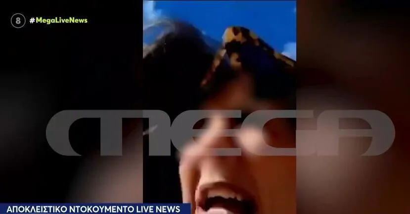 Άνω Λιόσια: Βίντεο-σοκ από τον ξυλοδαρμό διευθύντριας νηπιαγωγείου από γονέα – Η στιγμή της επίθεσης