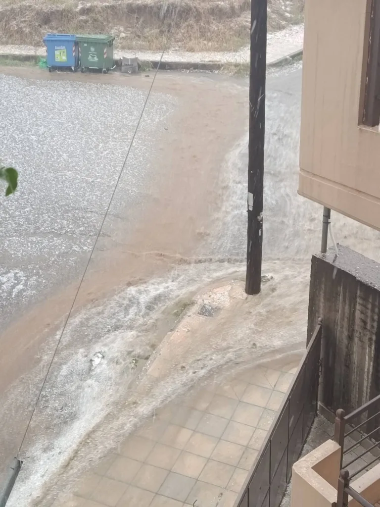 Εσωτερική εικόνα άρθρου