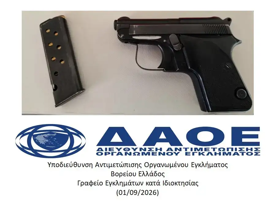 Εσωτερική εικόνα άρθρου