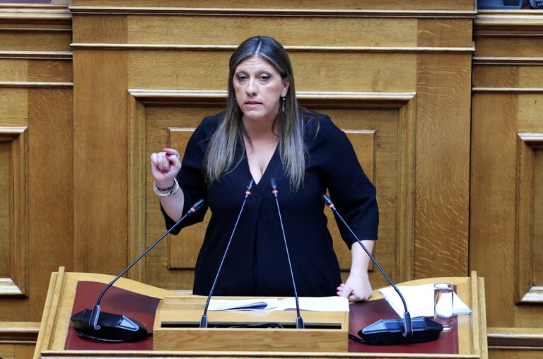 Κωνσταντοπούλου στη Βουλή: «Βάζετε τους νέους στον γύψο»