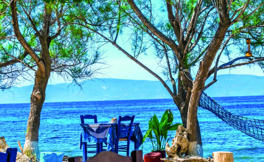 Εσωτερική εικόνα άρθρου