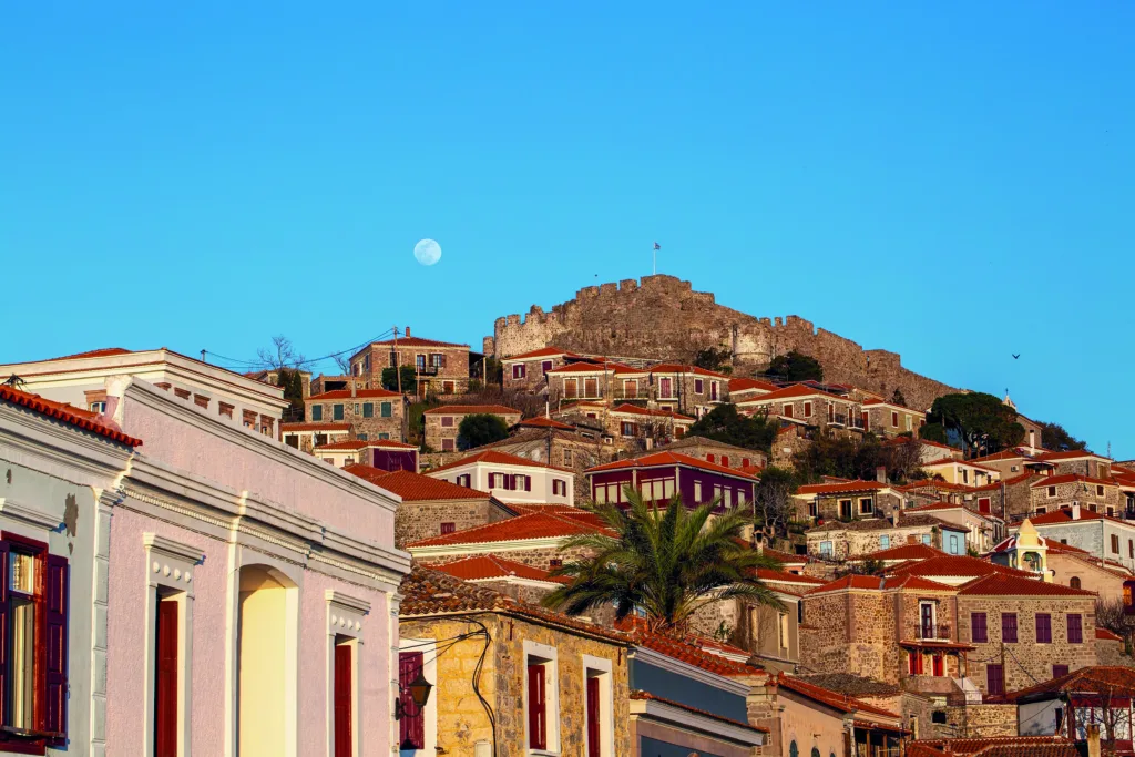 Εσωτερική εικόνα άρθρου