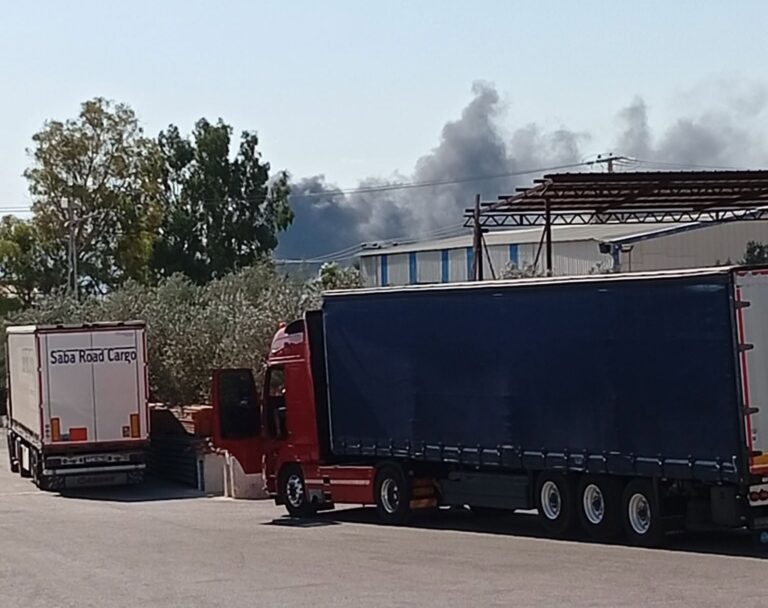 Φωτιά στην Μάνδρα: Συναγερμός στην περιοχή Ξηροπήγαδο – Ήχησε μήνυμα από το 112
