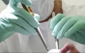 Κρήτη: Παγκόσμια διάκριση της Περιφέρειας για πρόγραμμα προληπτικών δράσεων στοματικής υγείας