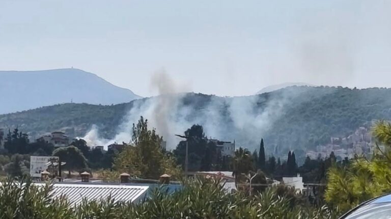 Φωτιά τώρα στην Παιανία: Συναγερμός στην Αργιθέα – Μήνυμα του 112 στους κατοίκους